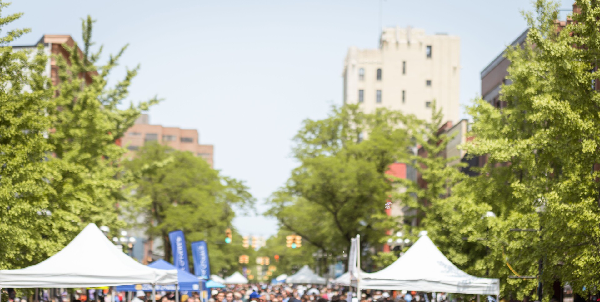 Taste of Ann Arbor, Michigan Food Street Festival